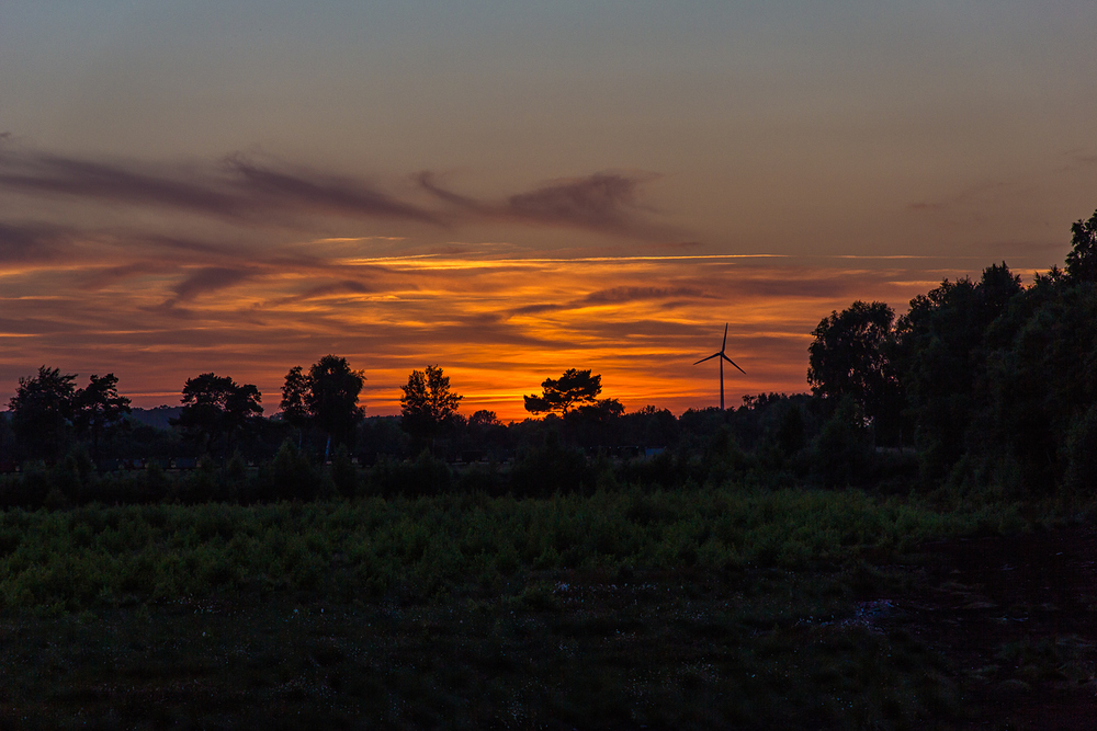 Abenddämmerung im Moor