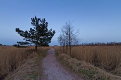 Abenddämmerung im Naturschutzgebiet