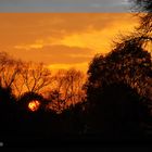 Abenddämmerung im November