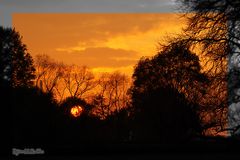 Abenddämmerung im November