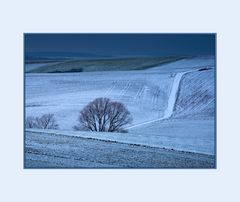 Abenddämmerung im Odenwald