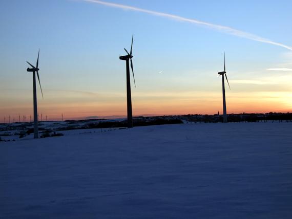 Abenddämmerung im Schnee