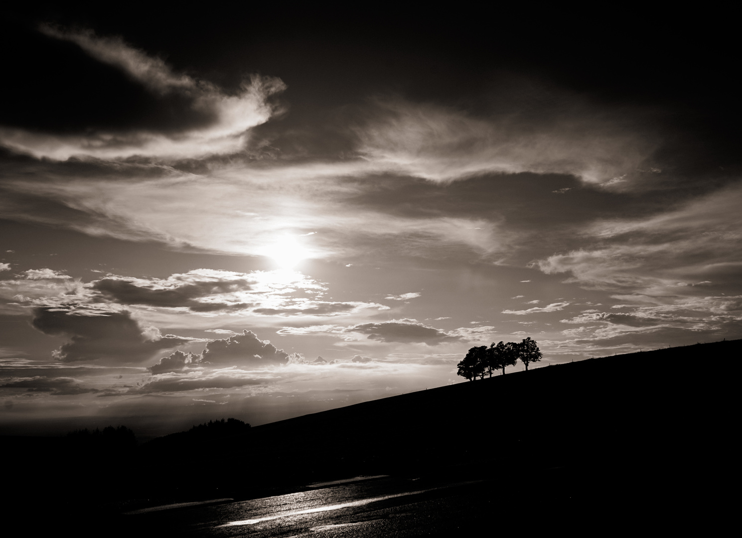 Abenddämmerung im Schwarzwald