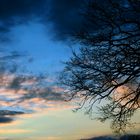 Abenddämmerung im Westerwald