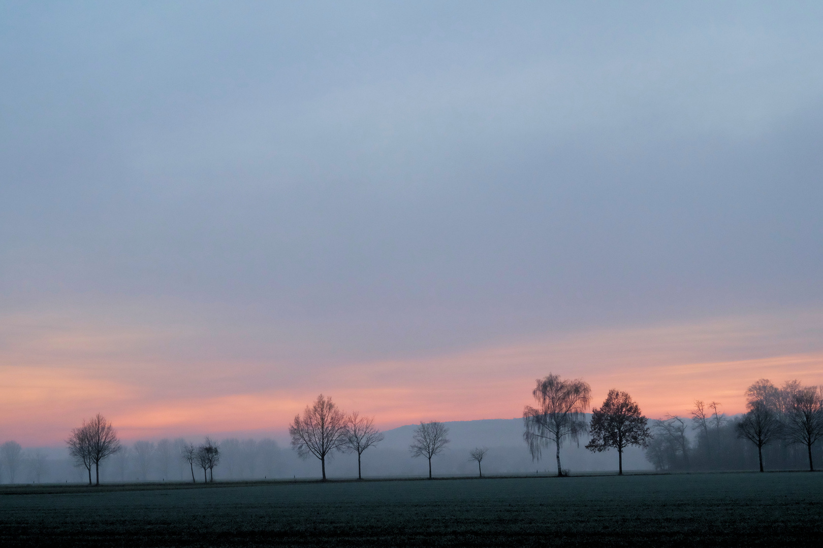 Abenddämmerung im Winter