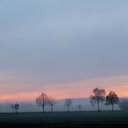 Abenddämmerung im Winter