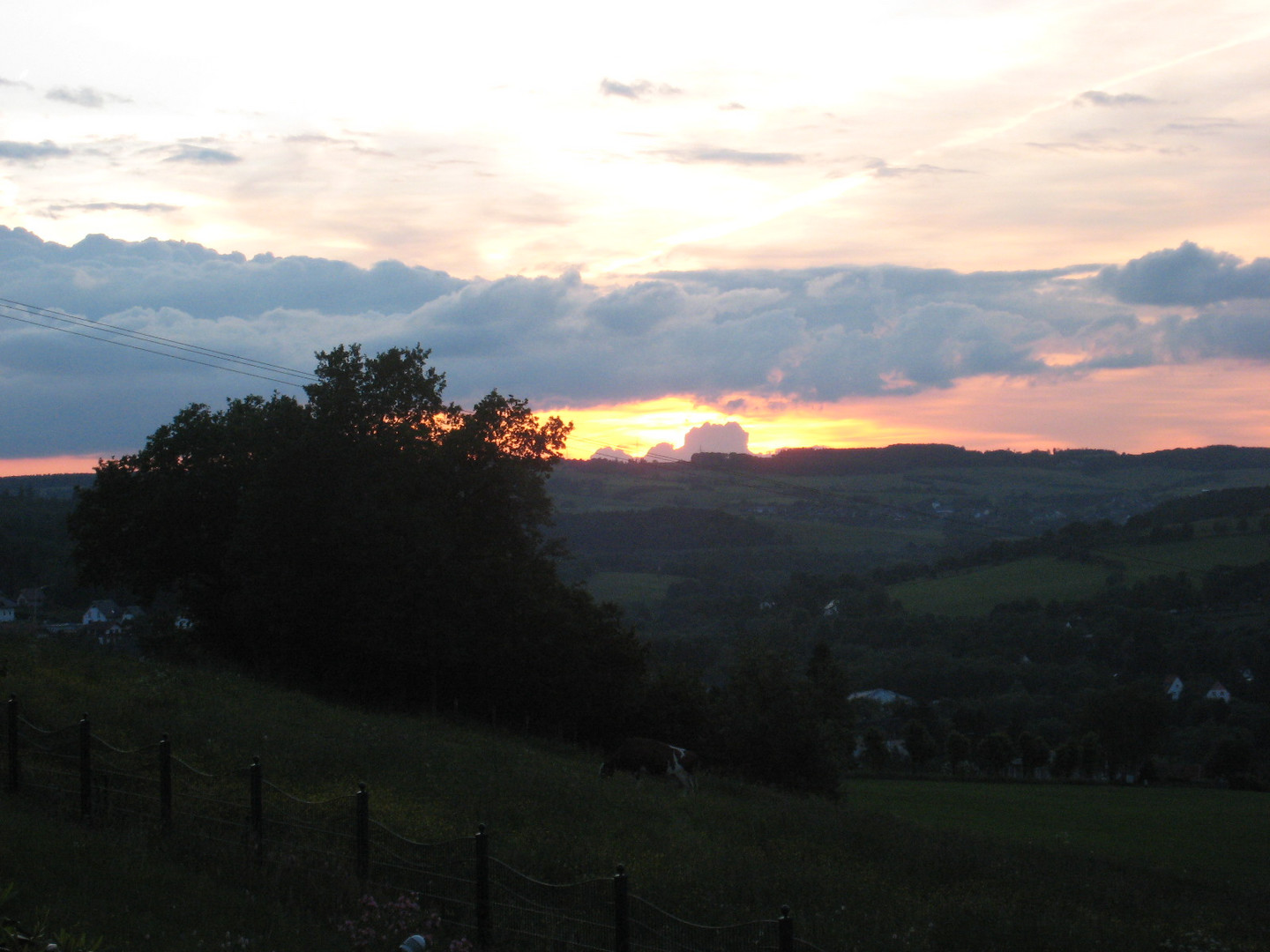 Abenddämmerung in der Eifel