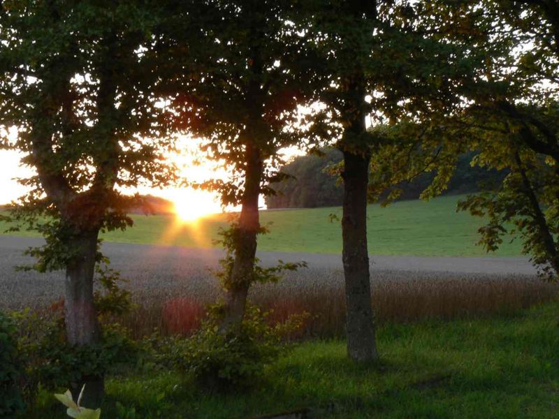 Abenddämmerung in der Eifel