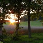 Abenddämmerung in der Eifel