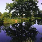 Abenddämmerung in der Oberpfalz