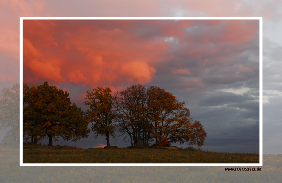 Abenddämmerung in der Wedemark