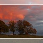 Abenddämmerung in der Wedemark