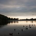 Abenddämmerung über den Aasee