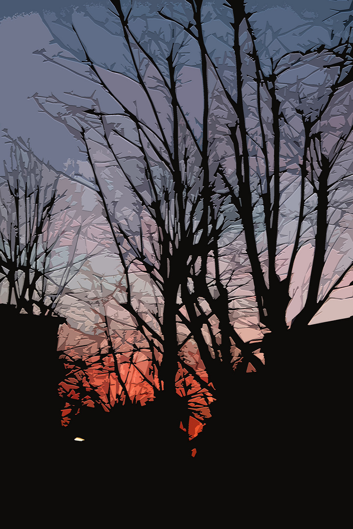 Abenddämmerung - von meinem Fenster aus