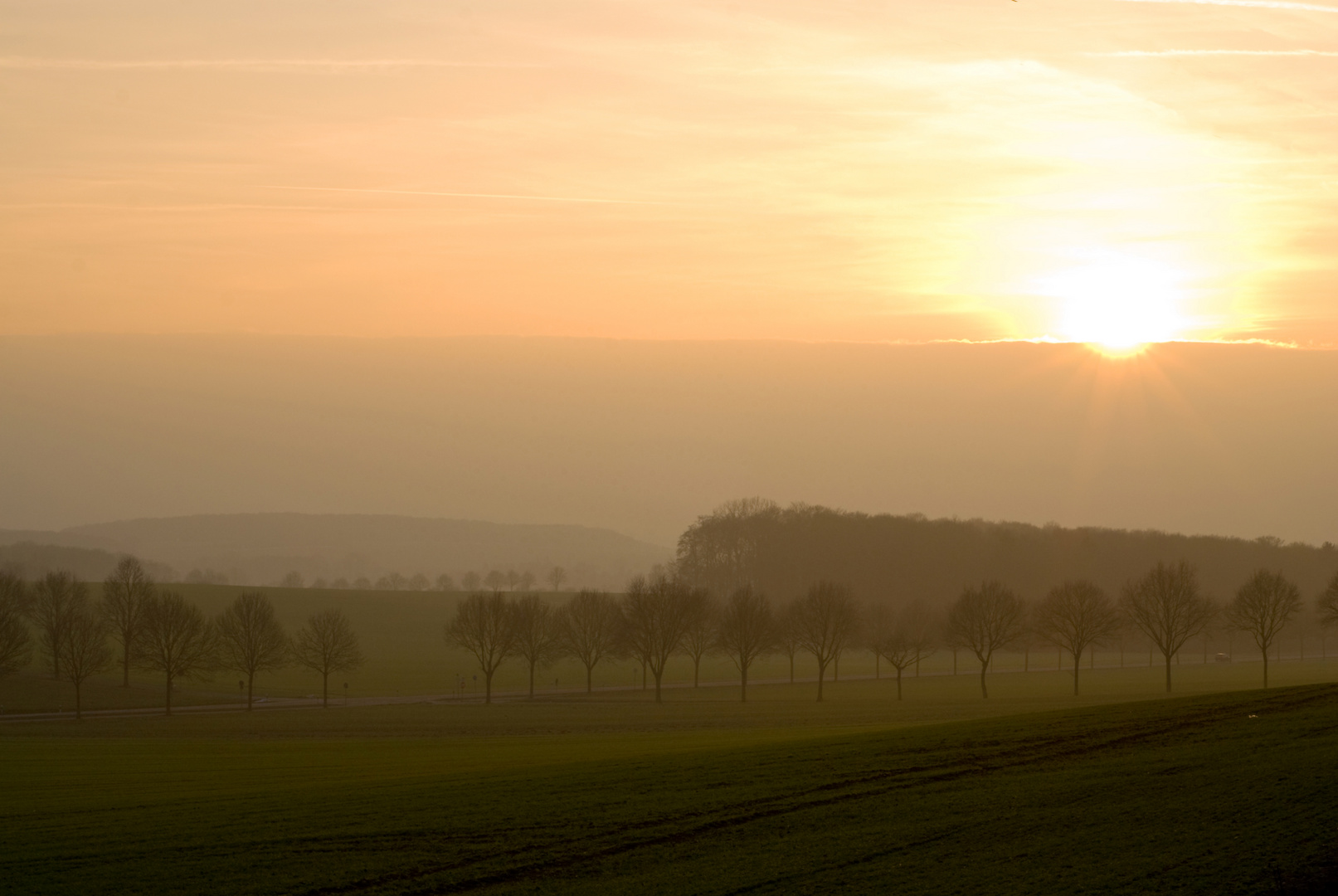 Abenddunst