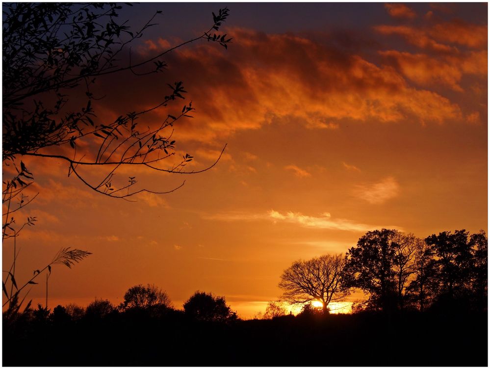 Abende im November