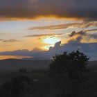 Abendecho über den Olivenhainen der Toscana