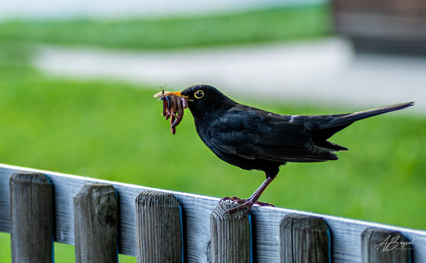 Abendessen