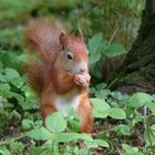 Abendessen