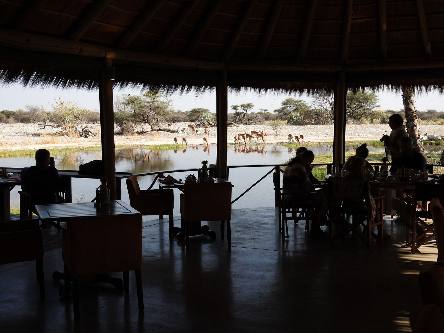 Abendessen auf dem "Viewing Deck" der Onguma Lodge