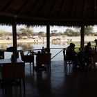 Abendessen auf dem "Viewing Deck" der Onguma Lodge