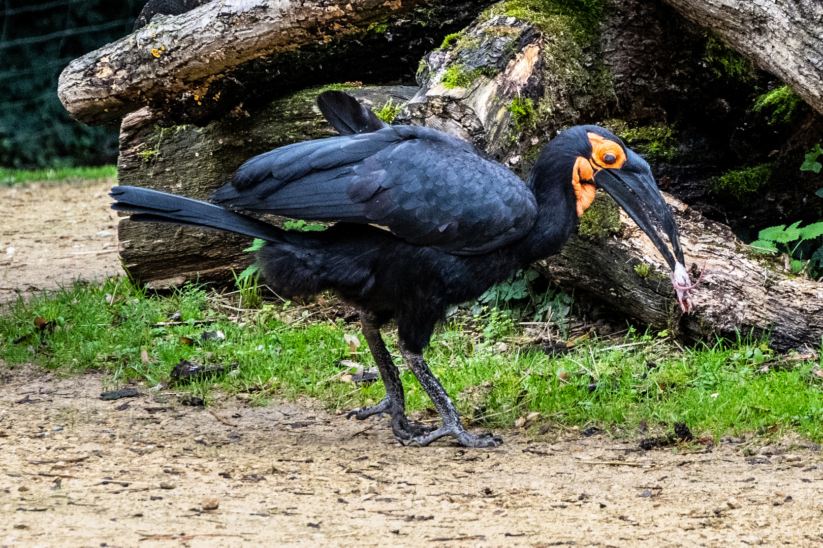 Abendessen - DSC_6992