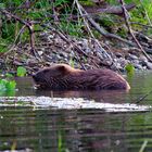 Abendessen im Wasser