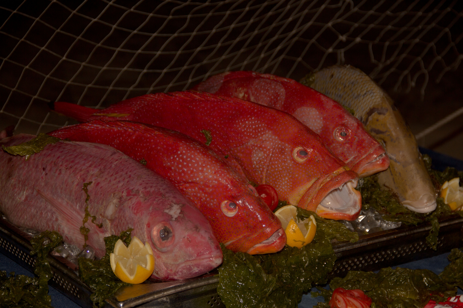 Abendessen in Mauritius