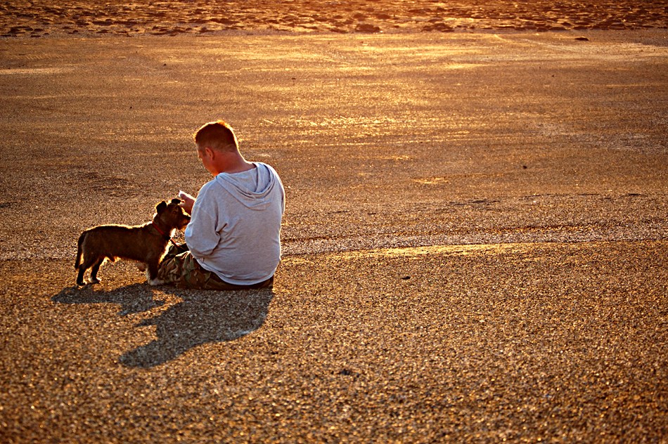 Abendessen mit Hund...