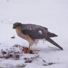 Abendessen vor dem Wohnzimmerfenster