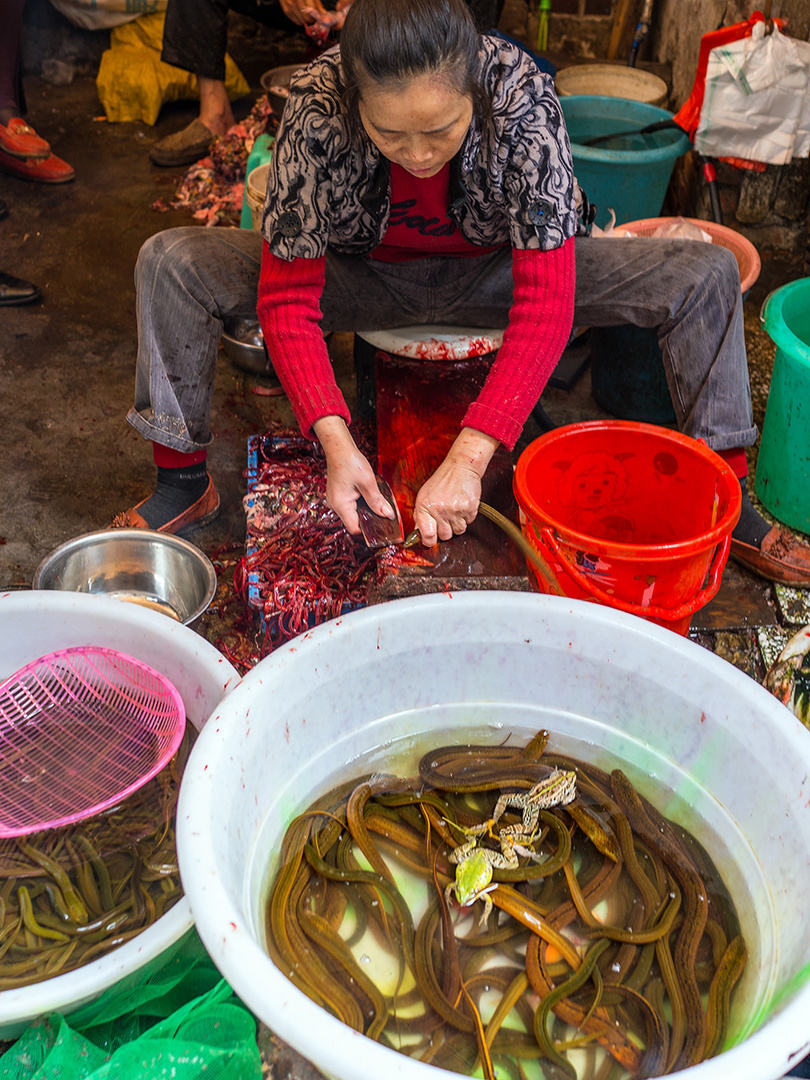 Abendessen Zubereitung in Chongqing