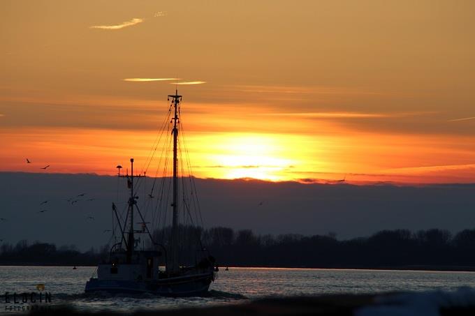 Abendfahrt an der Elbe