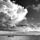 Abendfahrt auf dem  Bodden/Darß