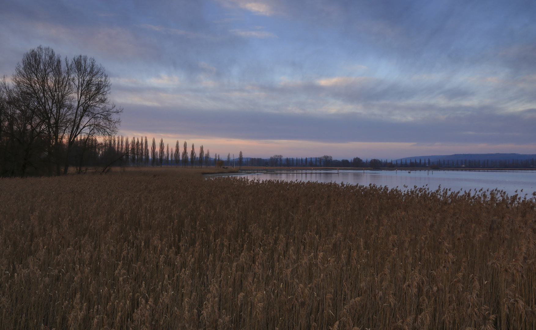 Abendfarben am Bodensse bei Moos