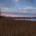 Abendfarben am Bodensse bei Moos