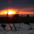 Abendfarben bei Kahnsdorf