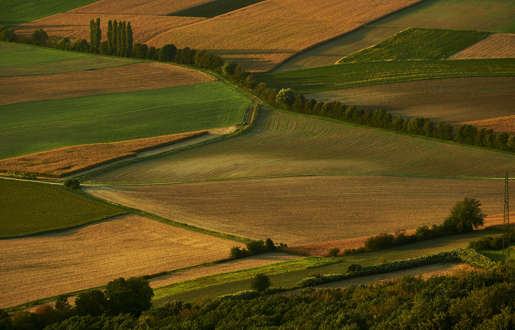 Abendfelder