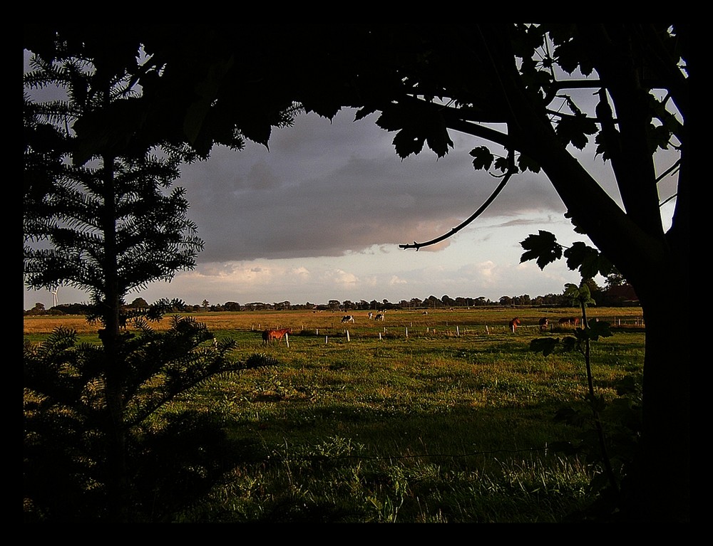 Abendfenster