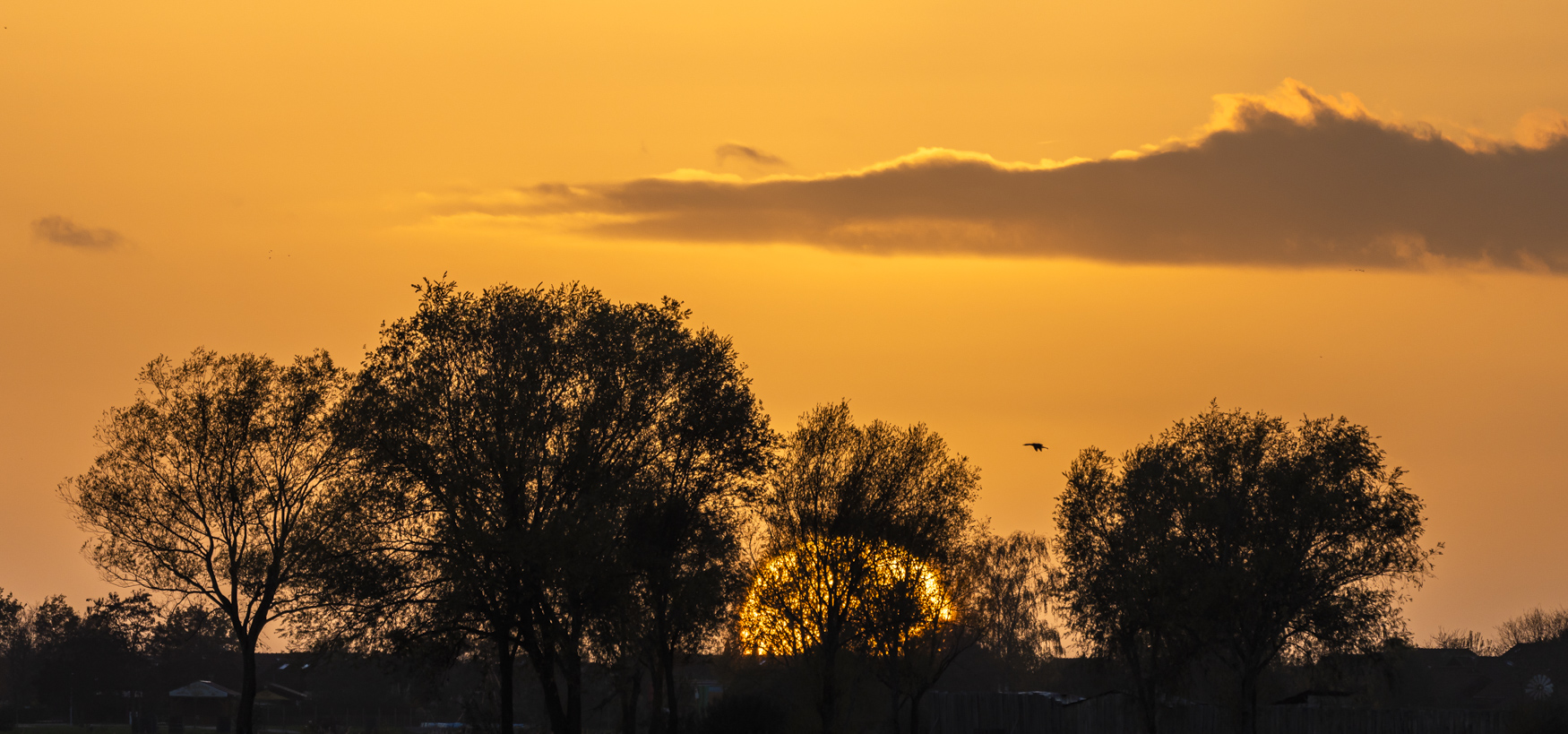 Abendflug