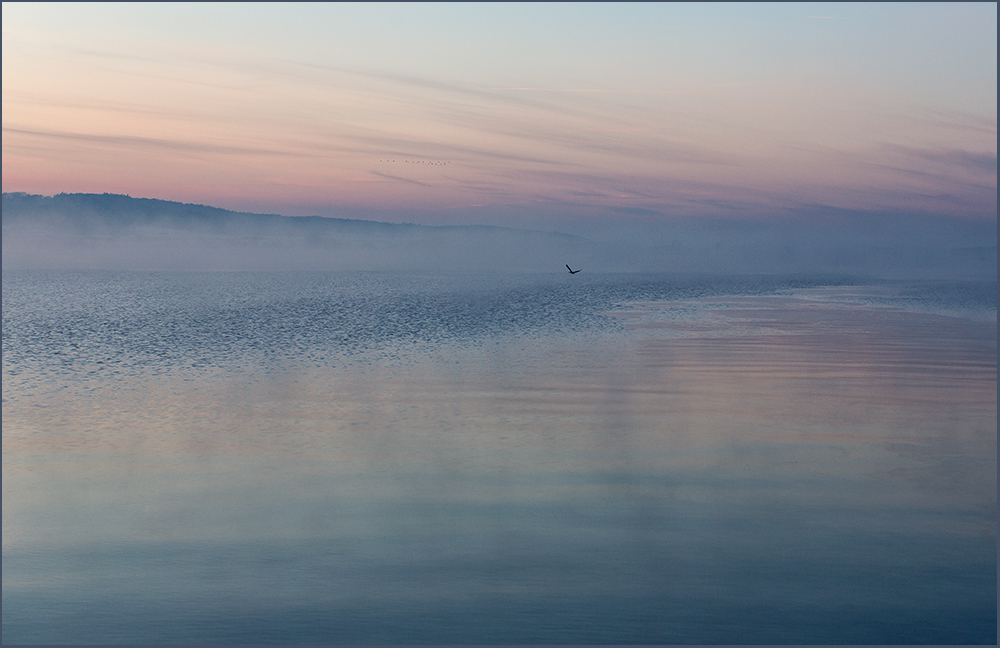 Abendflug