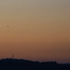 Abendflug