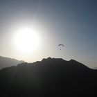 Abendflug am Col du Fifilou (Marokko)