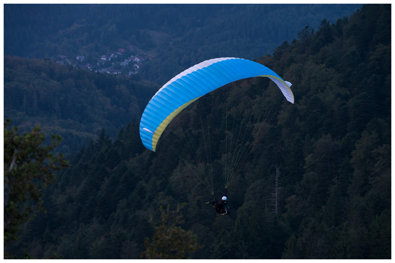 Abendflug am Hochblauen (Badenweiler)