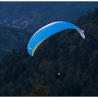 Abendflug am Hochblauen (Badenweiler)