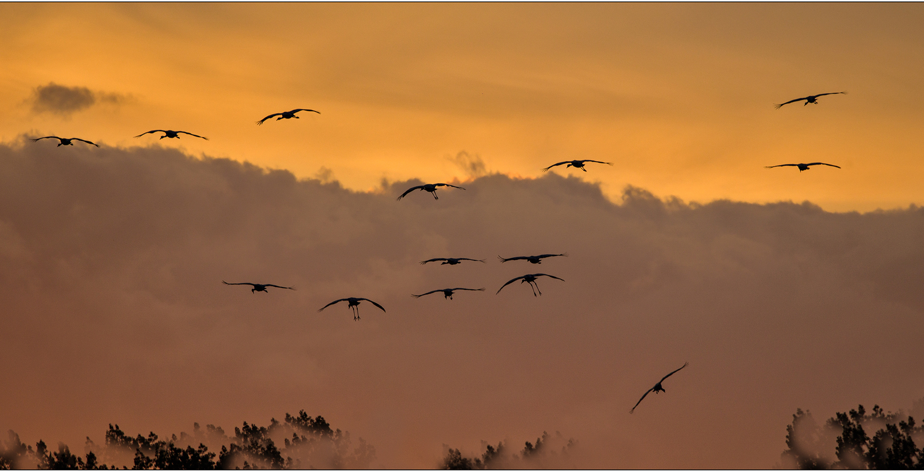 abendflug 