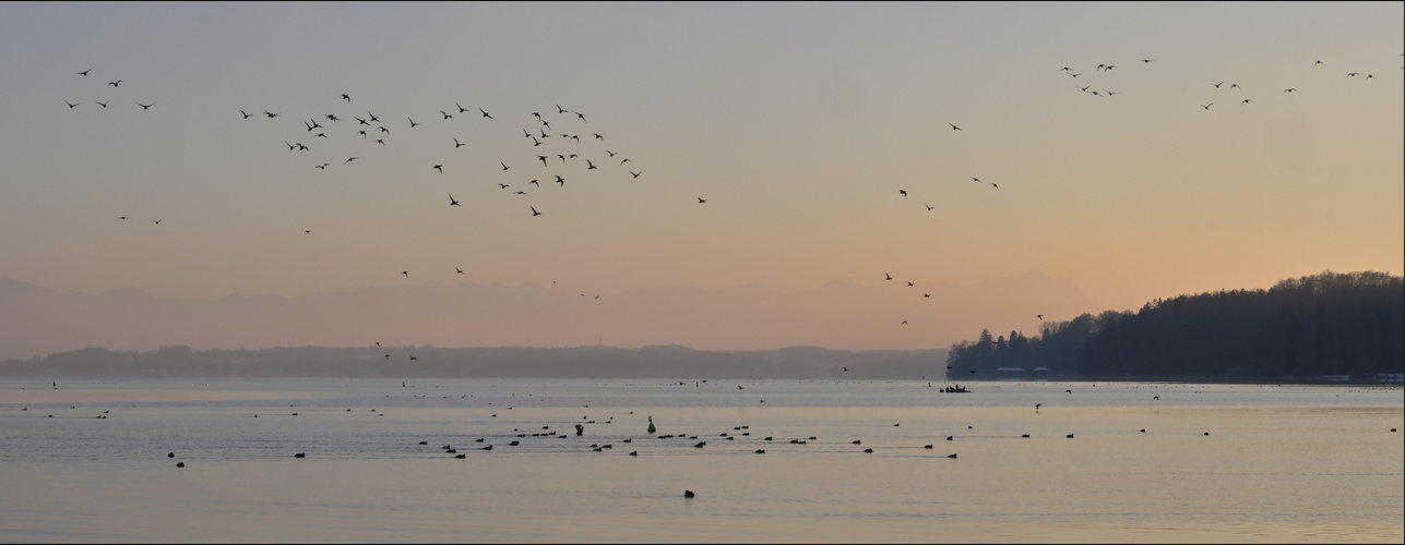 Abendflug