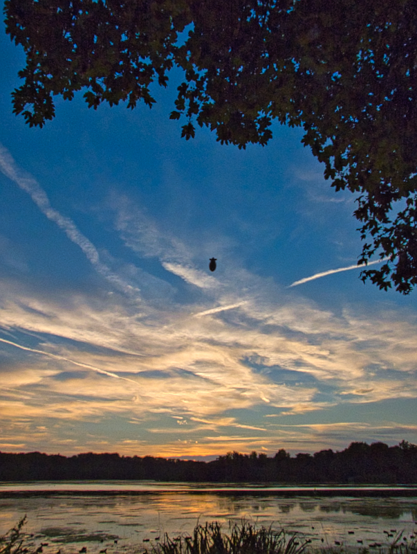 Abendflug