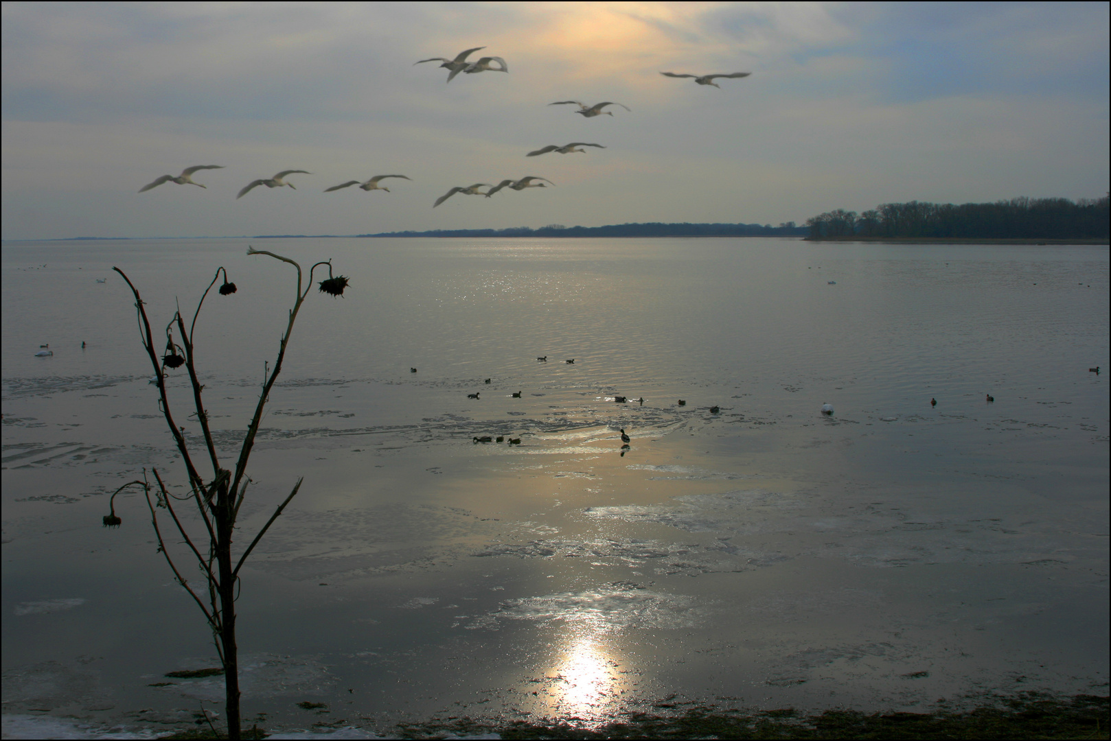 Abendflug