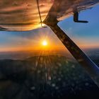 Abendflug im Sonnen Untergang 