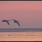 Abendflug über das Eismeer..